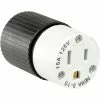 Bryant BRY5269NC TECHSPEC® Straight Blade Connector, 15A, 125V, Black/White -Switches, Receptacles & Sensors Sales B215075