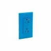 Leviton 5380-Igb Decora Duplex Surge Suppressor Receptacle Iso Ground, 20a, Blue -Switches, Receptacles & Sensors Sales LEV 5380 IGB